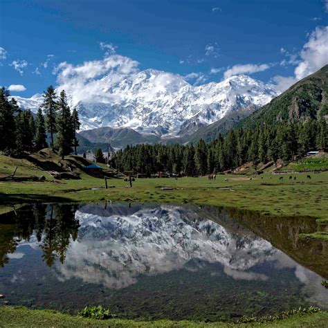 Fairy Meadows At Night
