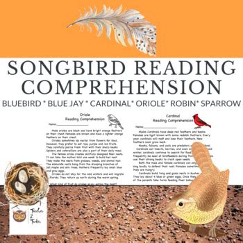 Reading Comprehension - Songbird by Teacher 2 Tutor | TPT