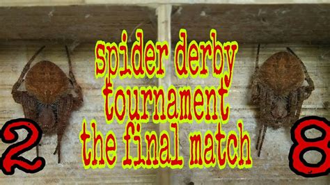 Spider derby tournament the final match 🔥🔥🔥 - YouTube