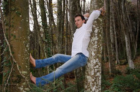 Homme S'asseyant Sur Le Tronc D'arbre Image stock - Image du nature ...