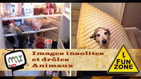 Images Droles Et Insolites