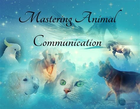 Mastering Animal Communication – Animal Angel Academy