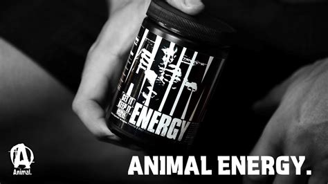 Animal Energy. 