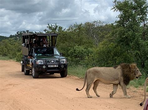 African Safari Adventures - Visit Hazyview