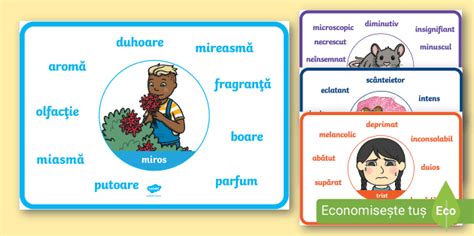 Sinonime - Planșe | Resurse didactice Twinkl România