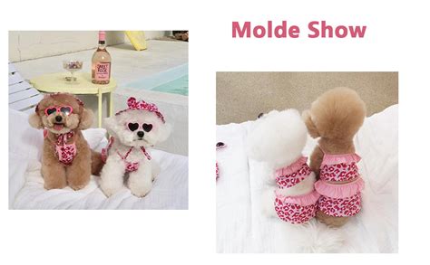 Leopard Dog Bikini Beach Swimsuit with Dog Hat Swimming Cap Puppy Bathing Dress Suit Summer Pet Clothes Cat Costumes for Small Dog (Small, Pink)