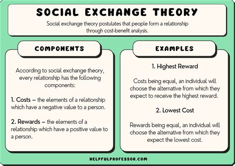 Social Exchange Theory: Definition and Examples (2025)
