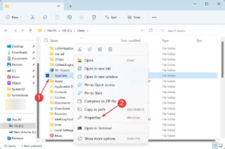 Desktop.ini File in Windows 10: Everything You Need to Know