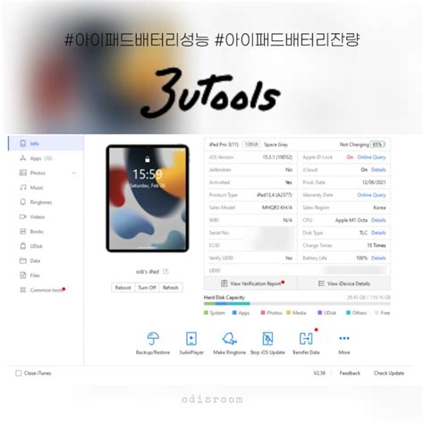 아이패드 배터리성능상태 배터리잔량 확인법 ft.3uTools : 네이버 블로그