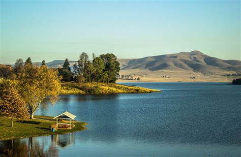 8 things to do in Howick