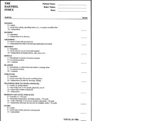 Barthel Index to measure the 'level of independence'. | Download ...