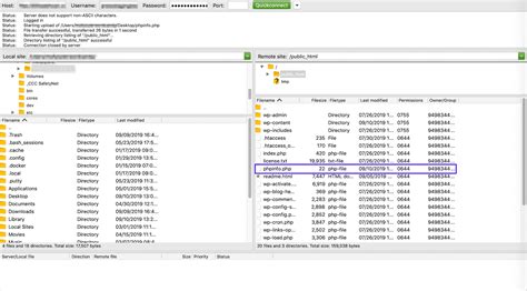 Phpinfo как вывести