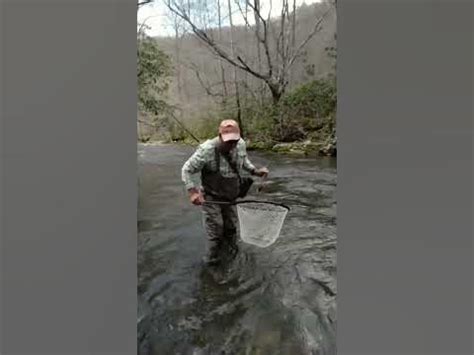 Dry fly smasher! Dji osmo action 3 #flyfishing #fishing #trout #dji # ...