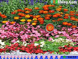 Hidden Hearts Flower Garden Game - FunGames.com - Play fun free games.