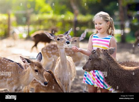 Feed Animal Zoo at Elias Hull blog