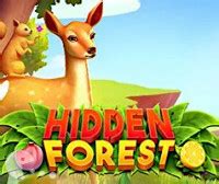 Hidden Forest - Games online 6games.eu