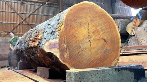 Amazing Woodworking Factory - Great Wood Cutting Technique, Raw Wood ...