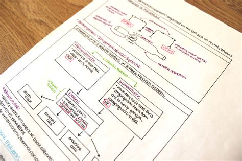 Note Taking Tips from a Medical School Student! | Faculty of Medicine