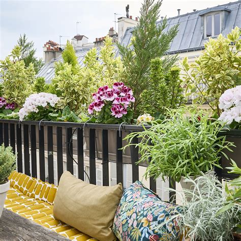 Truffaut - Truffaut added a new photo.