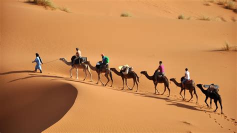 CM-CIC Investissement injecte 65 M€ dans Voyageurs du Monde | Capital ...