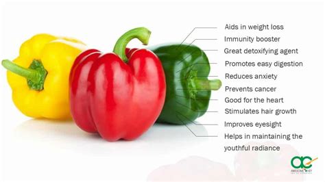 Health Benefits of Capsicum - 10 Reasons to Eat Capsicum