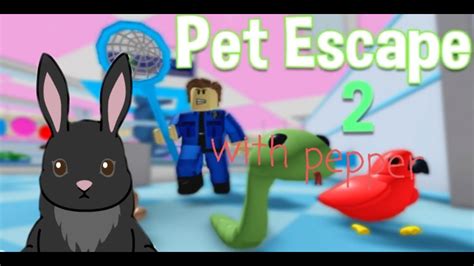 Roblox hide and seek pet escape 2 - YouTube