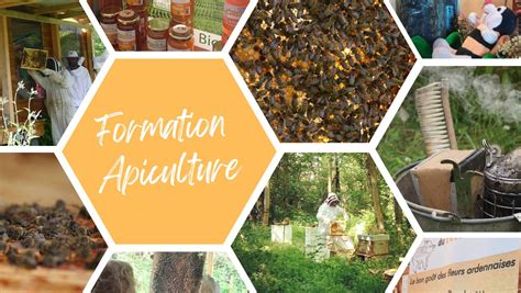 Formation Apiculture 2025