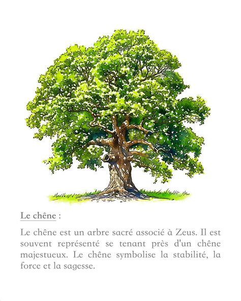 Roi des dieux de l'Olympe et héritage dans la mythologie grecque