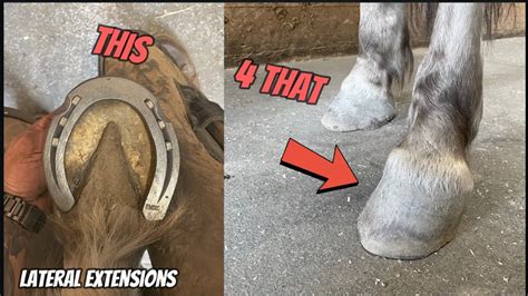 Shoeing a Horse with Handmade Lateral Extension Horseshoes