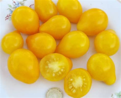 Tomato Honey drop – Healthy Food Near Me