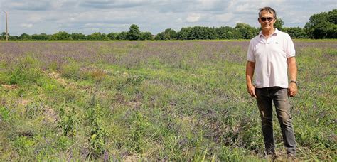 Charenton-du-Cher. Le maire se lance dans la culture de la lavande