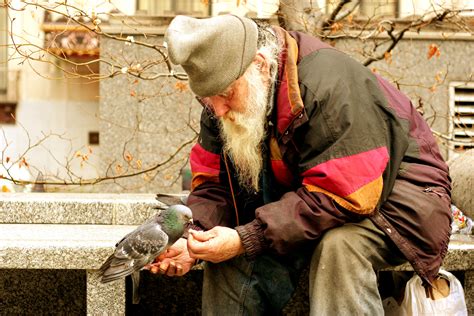 Old man and his bird by J-Dot-Photography on DeviantArt