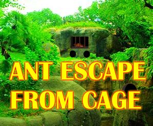 Ant Escape From Cage Walkthrough