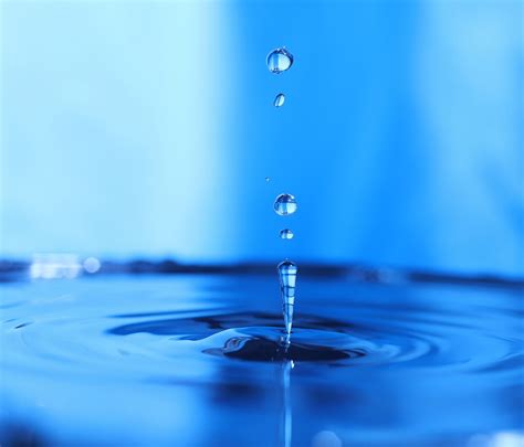 Purification de l'eau : systèmes de traitement des eaux domestiques