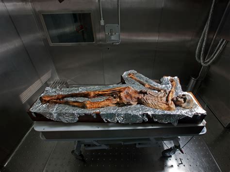 Prehistoric Man Frozen In Ice