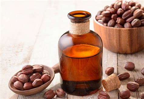 Jojoba Oil: The Ultimate Guide to its Usage | MantraCare