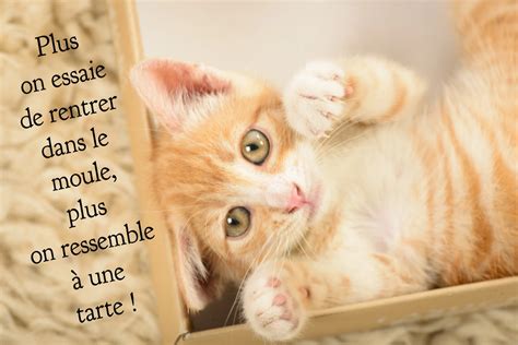 Cartes virtuelles citations drole - Joliecarte