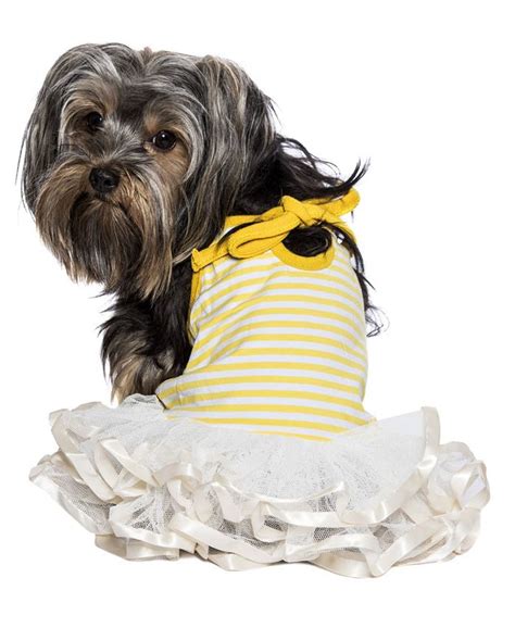 Parisian Pet Ballerina Dog Dress - Macy's