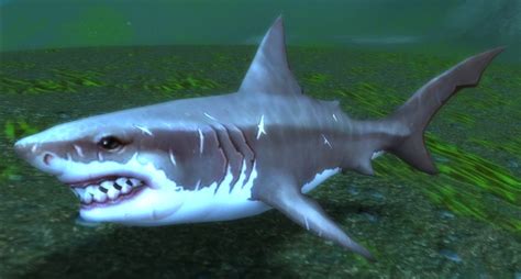 Reef Shark - NPC - World of Warcraft
