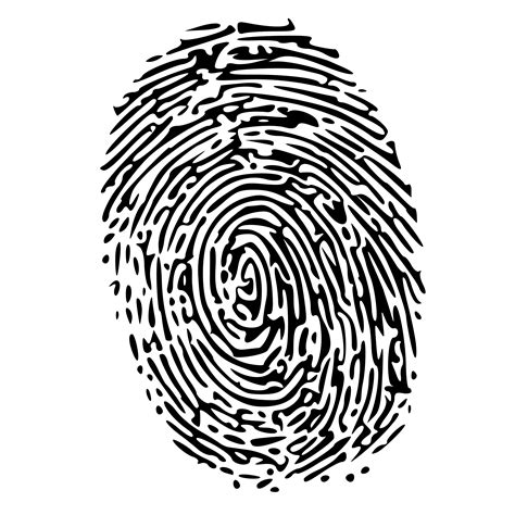 Fingerprint PNG Transparent Images | PNG All