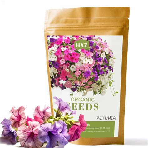 Petunia Seeds, 80000+ Petunias Seeds, Mixed Rainbow MHD1Color Flower ...