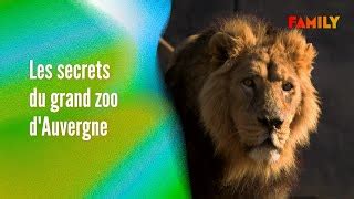 Documentaire | Aventures animales : les secrets du plus grand zoo d ...