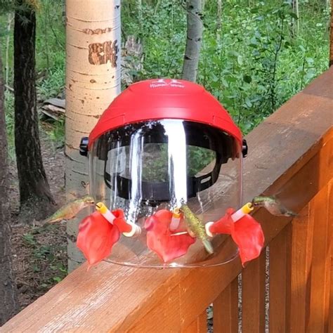Hummingbird Feeder Mask - $59.95