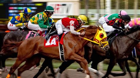 Les 7 Grandes Méthodes Fiables au Turf - Blog Gagnant de Pierre Calvete