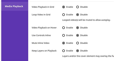 Control How Media will Playback in Your Grids - Essential Grid ...
