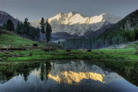 Fairy Meadows Tour Package 2016 - Pakistan Tours Guide