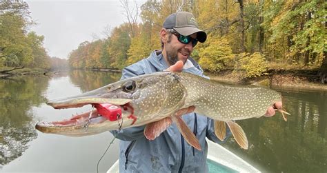 Pike Fishing Tips: How to Catch Pike | Outdoor Life