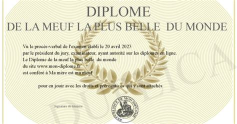 Diplome de la meuf la plus belle du monde