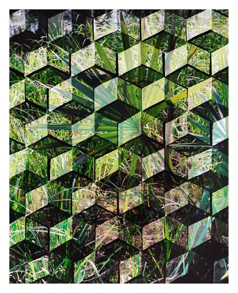 A Near Miss with Zombie Formalism in the Work of Hannah Whitaker ...