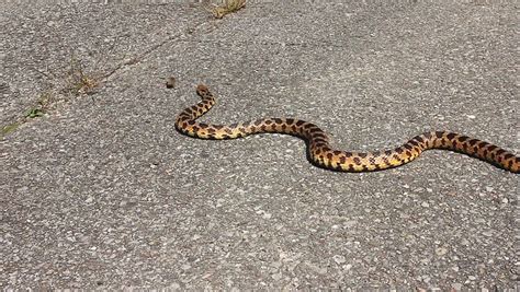 word usage - A comparison between 